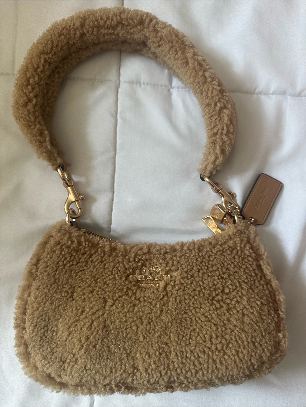 Coach mini Teri